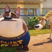 Trouble - galeria zdjęć - filmweb