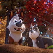 Trouble - galeria zdjęć - filmweb