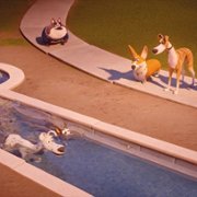 Trouble - galeria zdjęć - filmweb