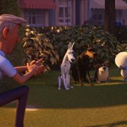 Trouble - galeria zdjęć - filmweb