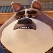 Trouble - galeria zdjęć - filmweb