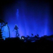 The Abyss - galeria zdjęć - filmweb