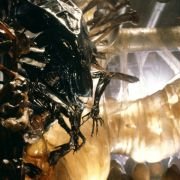 Aliens - galeria zdjęć - filmweb