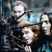 Pająki - galeria zdjęć - filmweb