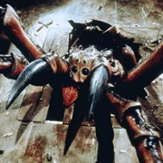 Pająki - galeria zdjęć - filmweb