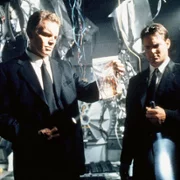 Spiders - galeria zdjęć - filmweb