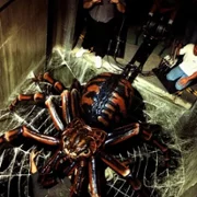 Spiders - galeria zdjęć - filmweb