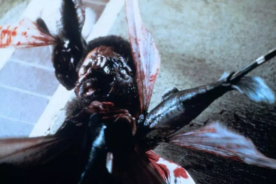 Pirania II: Latający mordercy - galeria zdjęć - filmweb