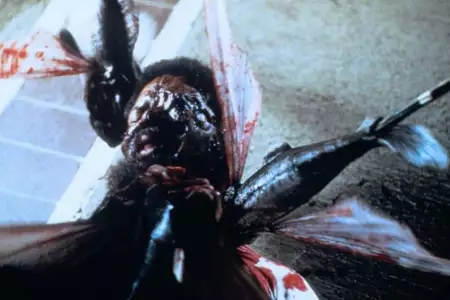 Pirania II: Latający mordercy - galeria zdjęć - filmweb
