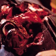Pirania II: Latający mordercy - galeria zdjęć - filmweb