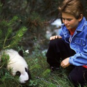 The Amazing Panda Adventure - galeria zdjęć - filmweb