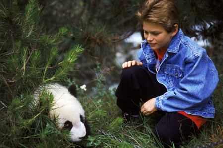 Niezwykłe przygody małej pandy - galeria zdjęć - filmweb