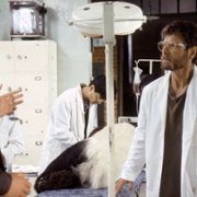 The Amazing Panda Adventure - galeria zdjęć - filmweb