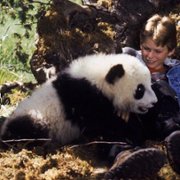 The Amazing Panda Adventure - galeria zdjęć - filmweb