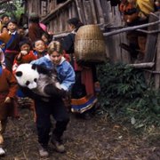 The Amazing Panda Adventure - galeria zdjęć - filmweb