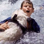 The Amazing Panda Adventure - galeria zdjęć - filmweb