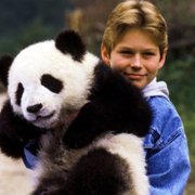 The Amazing Panda Adventure - galeria zdjęć - filmweb