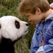 The Amazing Panda Adventure - galeria zdjęć - filmweb