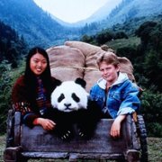 The Amazing Panda Adventure - galeria zdjęć - filmweb