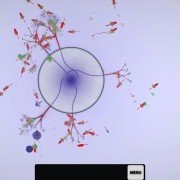Eufloria - galeria zdjęć - filmweb