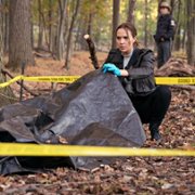 Lincoln Rhyme: Hunt for the Bone Collector - galeria zdjęć - filmweb