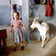 Želary - galeria zdjęć - filmweb