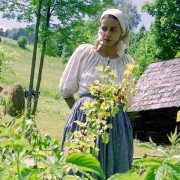 Żelary - galeria zdjęć - filmweb