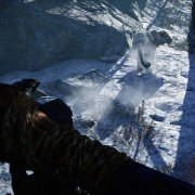 Far Cry Primal - galeria zdjęć - filmweb