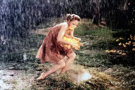 Tęcza Finiana - galeria zdjęć - filmweb
