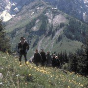 The Sound of Music - galeria zdjęć - filmweb