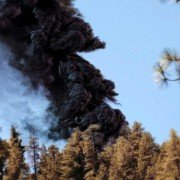 Dragon Day - galeria zdjęć - filmweb