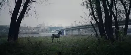 O zwierzętach i ludziach - galeria zdjęć - filmweb