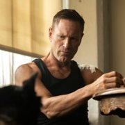 Muzzle - galeria zdjęć - filmweb