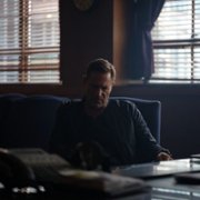 Muzzle - galeria zdjęć - filmweb
