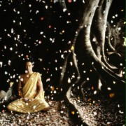 Little Buddha - galeria zdjęć - filmweb