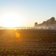 McFarland, USA - galeria zdjęć - filmweb