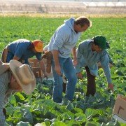 McFarland, USA - galeria zdjęć - filmweb