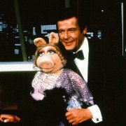 Muppety - galeria zdjęć - filmweb