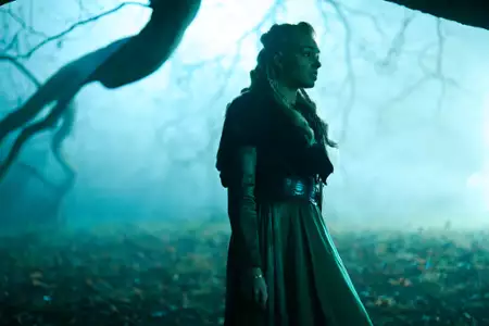 Zimowy monarcha - galeria zdjęć - filmweb