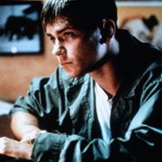 Amerykańskie psy - galeria zdjęć - filmweb
