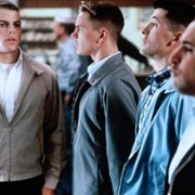 Amerykańskie psy - galeria zdjęć - filmweb