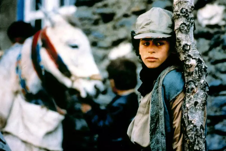 Czas pijanych koni - galeria zdjęć - filmweb