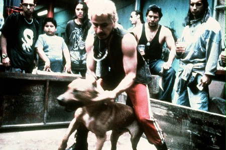 Amores perros - galeria zdjęć - filmweb