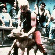 Amores perros - galeria zdjęć - filmweb
