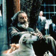 Amores perros - galeria zdjęć - filmweb