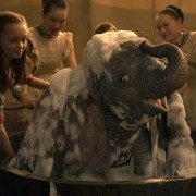 Dumbo - galeria zdjęć - filmweb