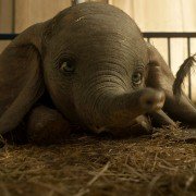 Dumbo - galeria zdjęć - filmweb