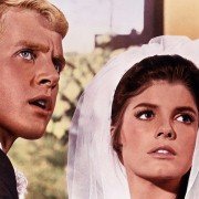 Absolwent - galeria zdjęć - filmweb