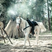 The Lone Ranger - galeria zdjęć - filmweb