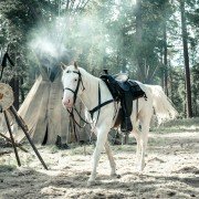 The Lone Ranger - galeria zdjęć - filmweb